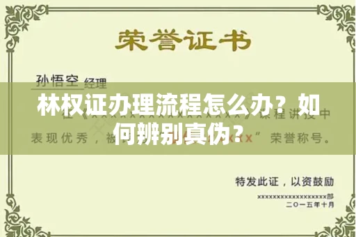 广州林权证办理流程怎么办?如何辨别真伪?