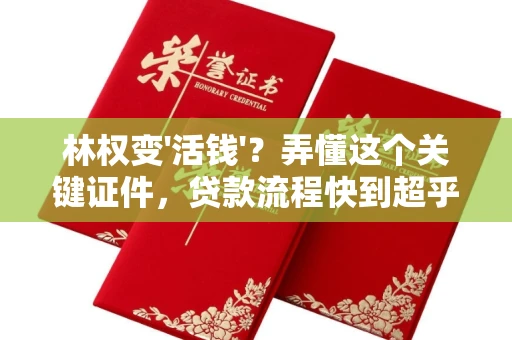 广州林权变'活钱'？弄懂这个关键证件，贷款流程快到超乎想象！