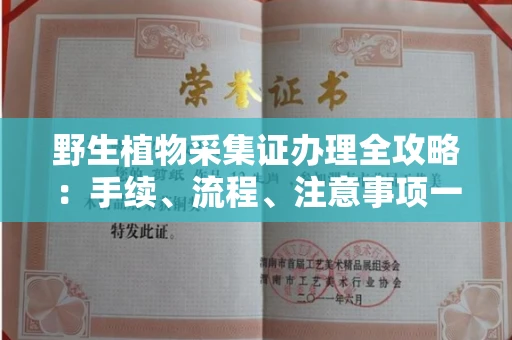 广州野生植物采集证办理全攻略:手续、流程、注意事项一网打尽